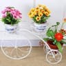 Bicycle type Metal Flower Stand